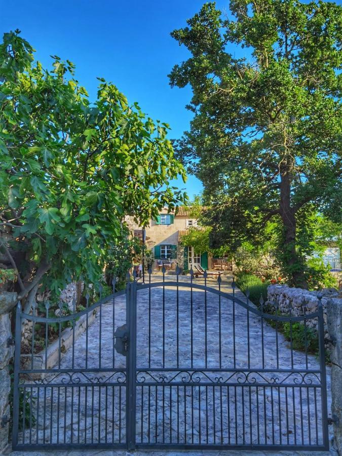 Villa Dvori Dida Mile Sveti Petar  Exteriör bild