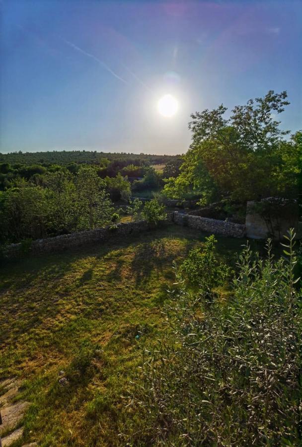 Villa Dvori Dida Mile Sveti Petar  Exteriör bild