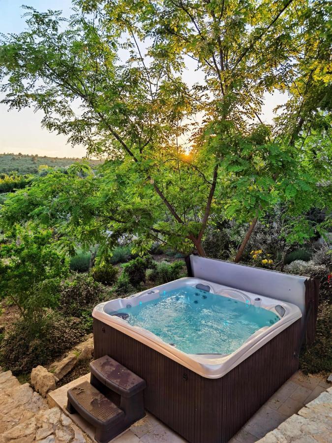 Villa Dvori Dida Mile Sveti Petar  Exteriör bild