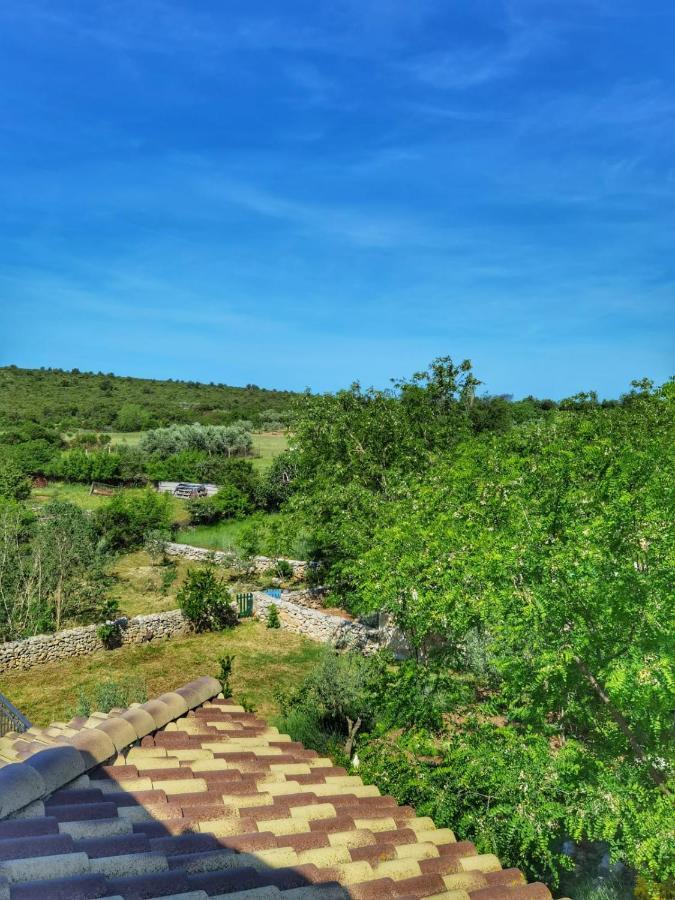 Villa Dvori Dida Mile Sveti Petar  Exteriör bild