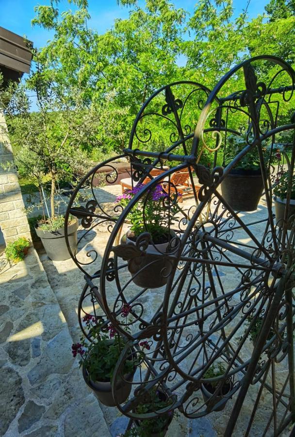 Villa Dvori Dida Mile Sveti Petar  Exteriör bild
