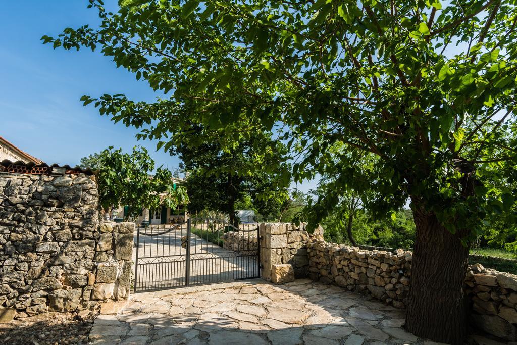 Villa Dvori Dida Mile Sveti Petar  Rum bild