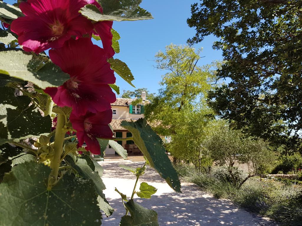 Villa Dvori Dida Mile Sveti Petar  Exteriör bild